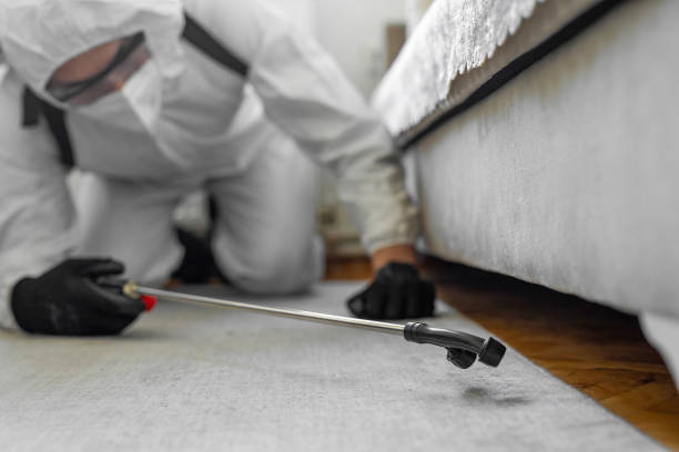 Professional Bed Bug Control technician working in Johnston City, IL
